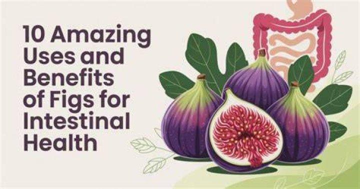 10 Amazing Uses and Health Benefits of Bitter (Garcinia) Kola You
