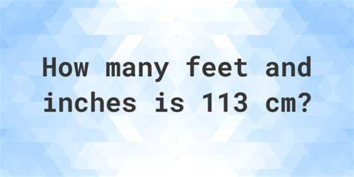 113 cm to feet 113 cm in feet
