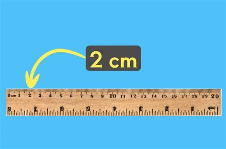 2 inches in cm