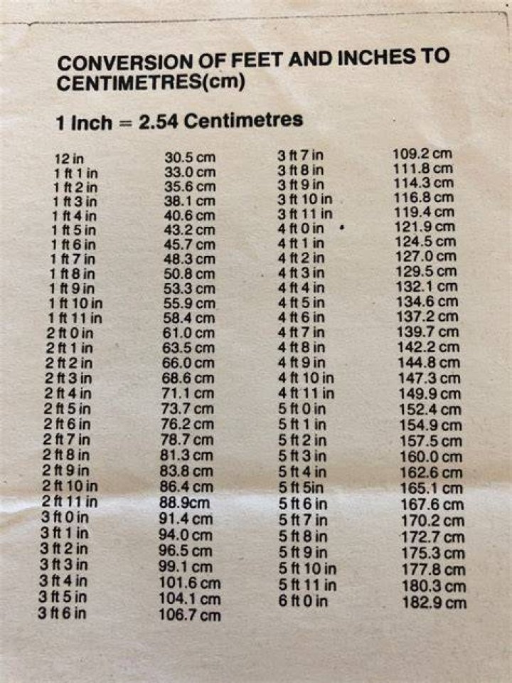 24.7 cm to feet and inches
