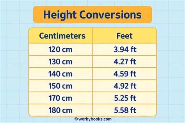 30 cm to feet 30 cm in feet