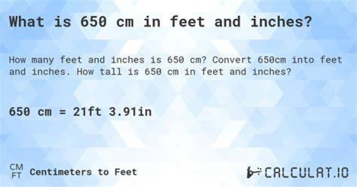 650 cm to feet 650 cm in feet