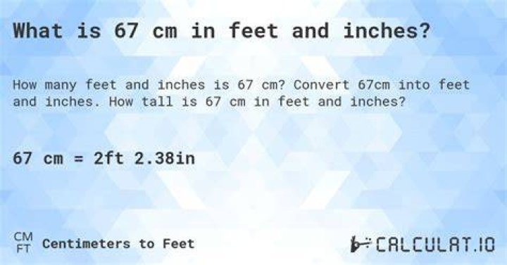 67 cm to feet 67 cm in feet