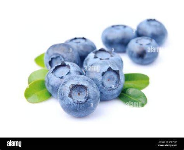 a group of blueberries a group of blueberries