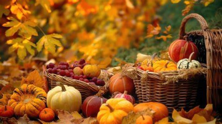 A player harvests autumn crops in Stardew Valley
