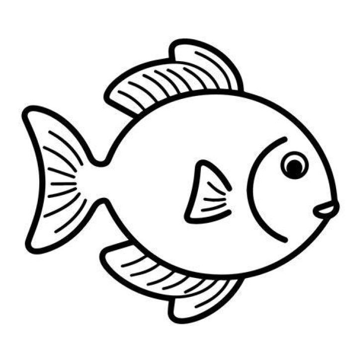 An outline of a fish on a brownish cave wall. A yellow circle around three distinct brown smudges on the fish's belly.