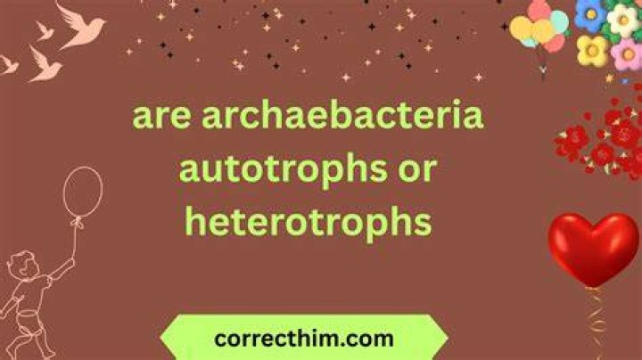 Are archaebacteria Autotrophs or Heterotrophs?