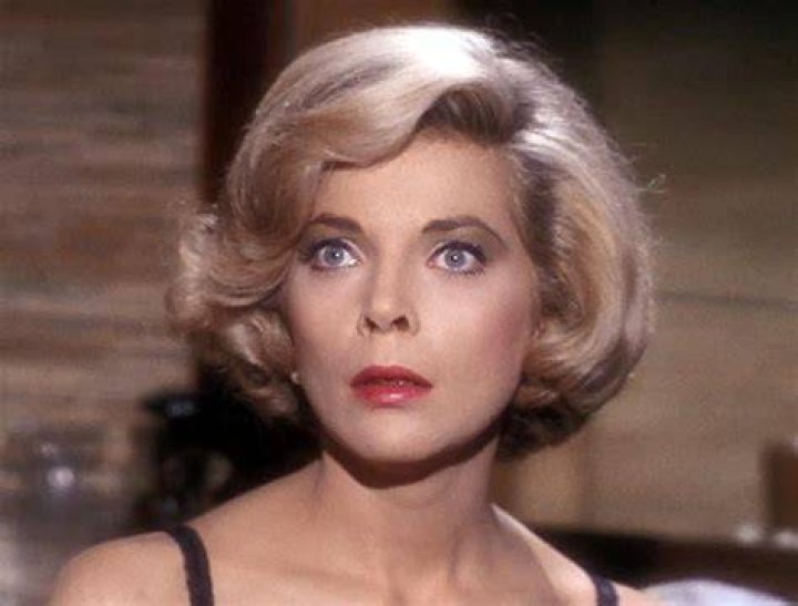 Barbara Bain Mission Impossible Fandom