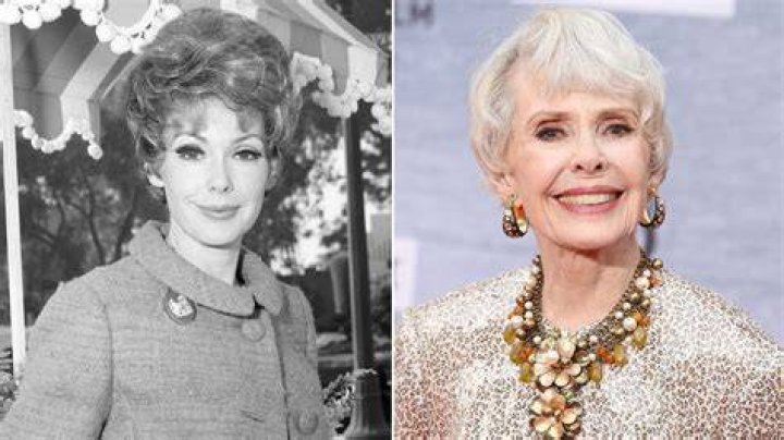 Barbara Rush Measurements: An In-Depth Look At The Iconic Actress