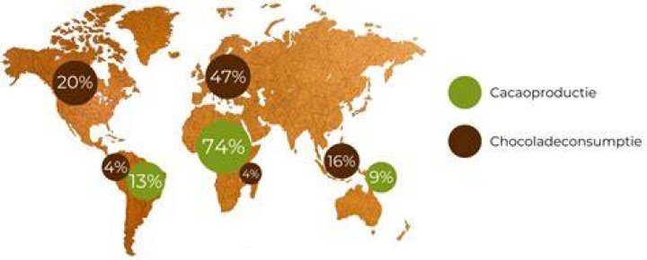 Cacao Waar Komt Het Vandaan?