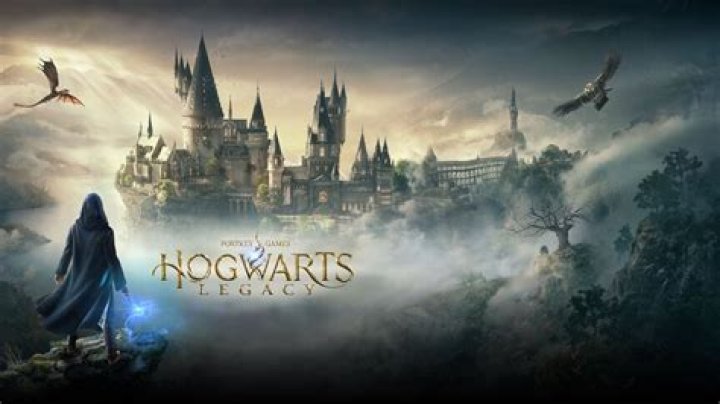 Can I play Hogwarts legacy without internet?