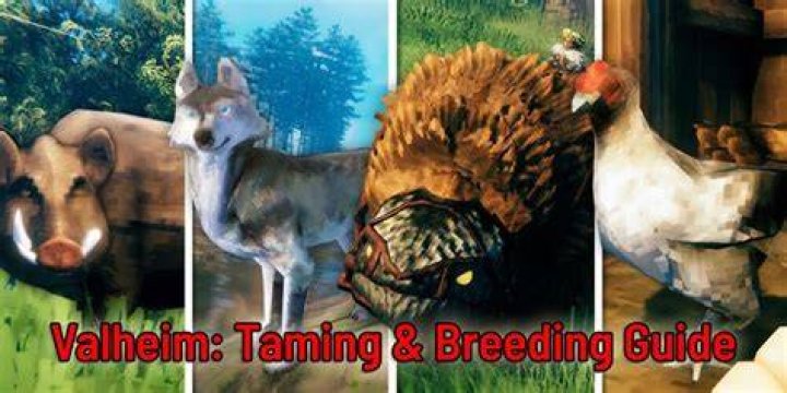 Can you breed animals in Valheim?