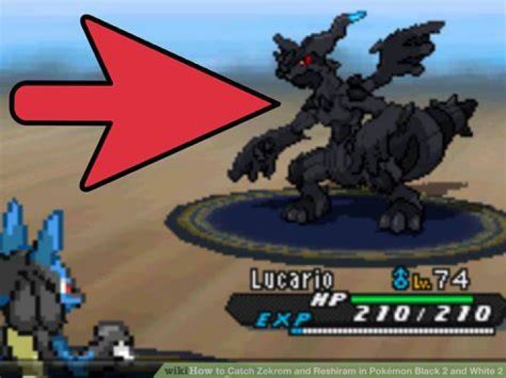 Can you catch both Reshiram and Zekrom in Pokemon Black?