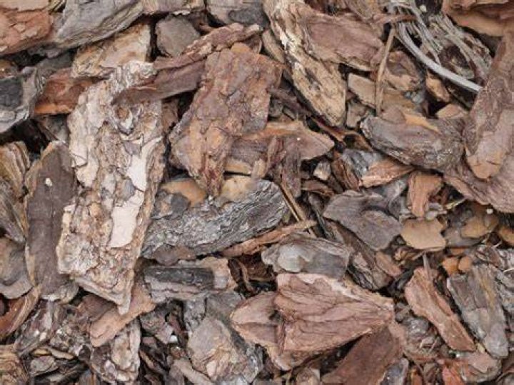Can you get splinters from bark chippings?