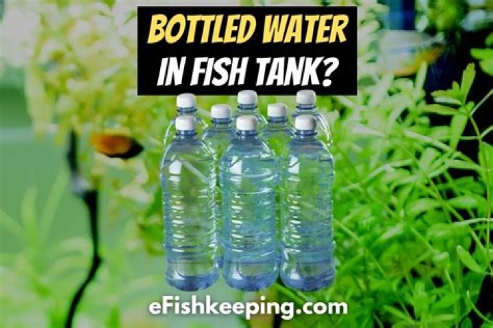 Can you use bottled spring water in a fish tank?