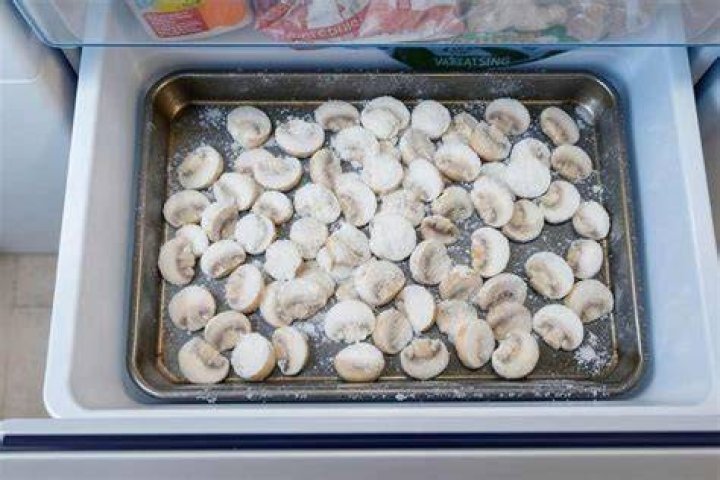 Champignons Invriezen Hoe?