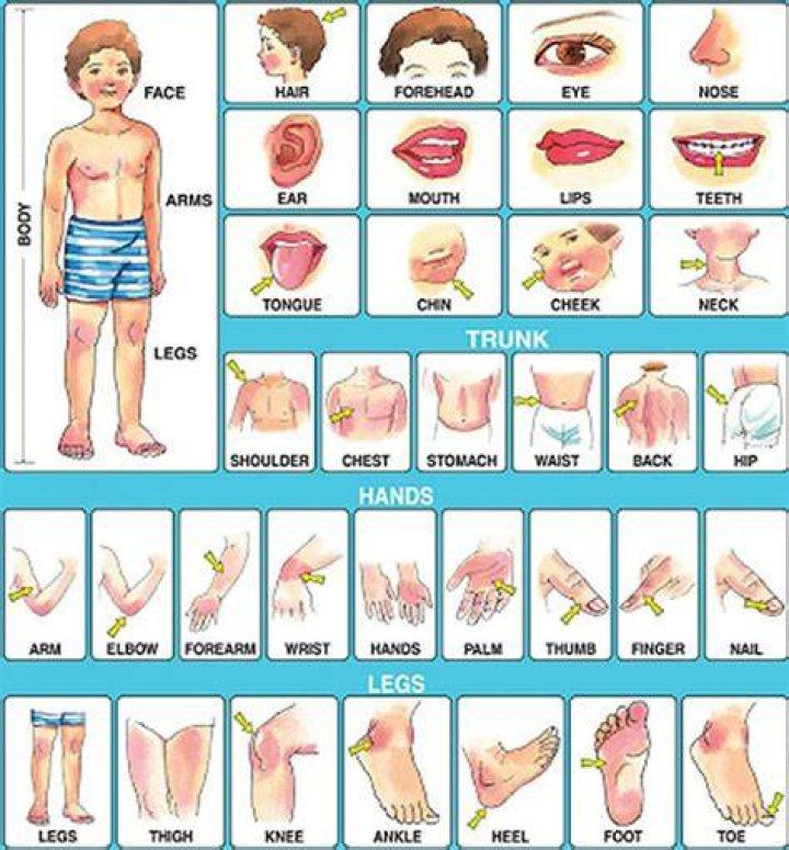 Cheek, Finger, Skin, Shoulder, Chest, Joint, Barechested, Trunk, Brassiere, Abdomen, Cheek, Finger, Skin, Shoulder, Chest, Joint, Barechested, Trunk, Brassiere, Abdomen,