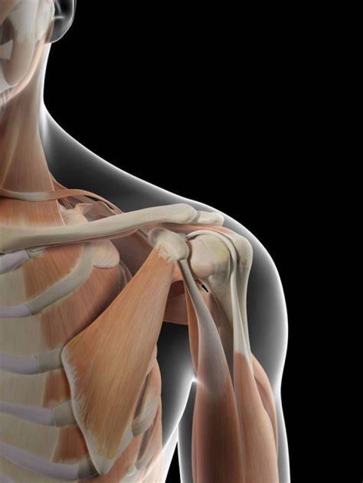 Cheek, Shoulder, Human leg, Joint, Standing, Elbow, Waist, Chest, Abdomen, Undergarment, Cheek, Shoulder, Human leg, Joint, Standing, Elbow, Waist, Chest, Abdomen, Undergarment,