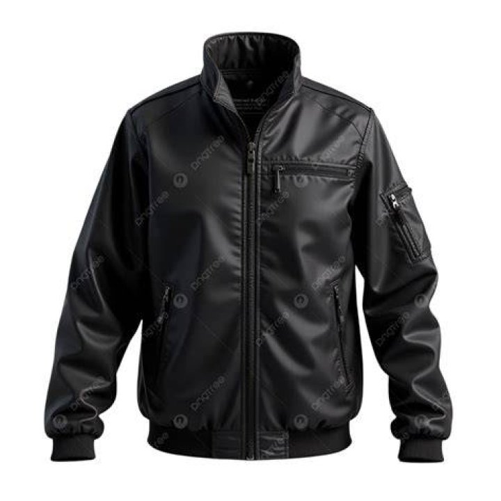Clothing, Jacket, Leather, Outerwear, Leather jacket, Sleeve, Textile, Top, Zipper, Fur, 