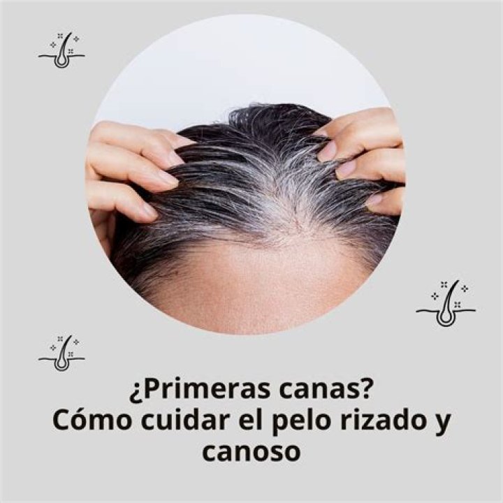 c&oacute;mo cuidar las canas