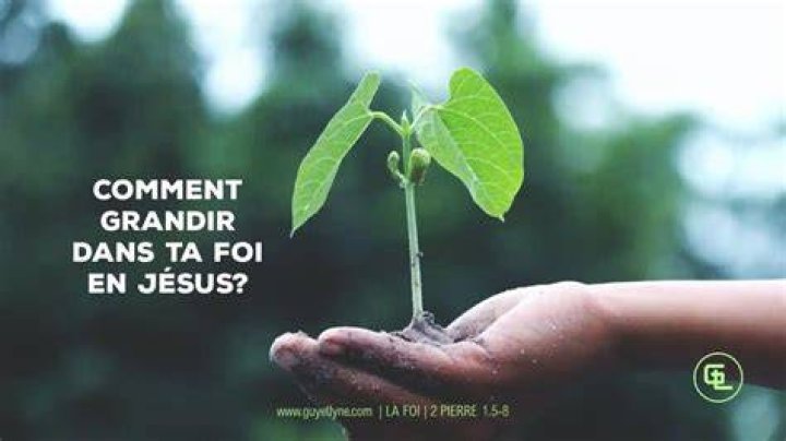 Comment grandir dans la foi ?