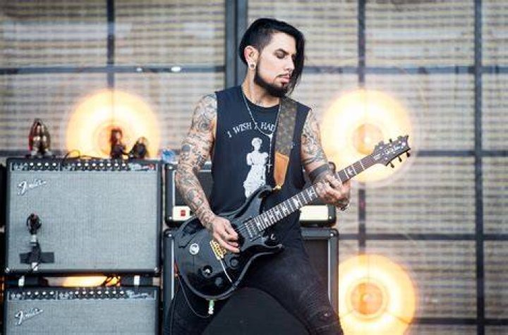 Dave Navarro Guitar