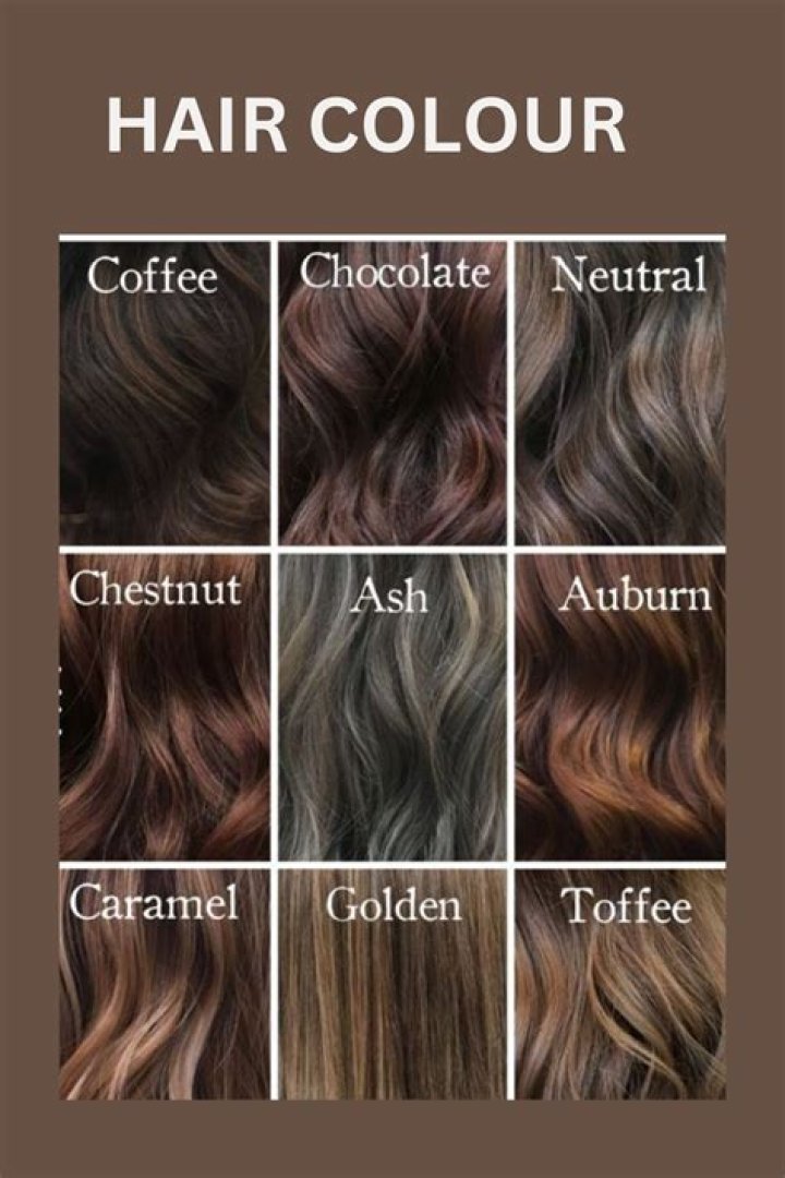 Decoding The Language of Hair Color