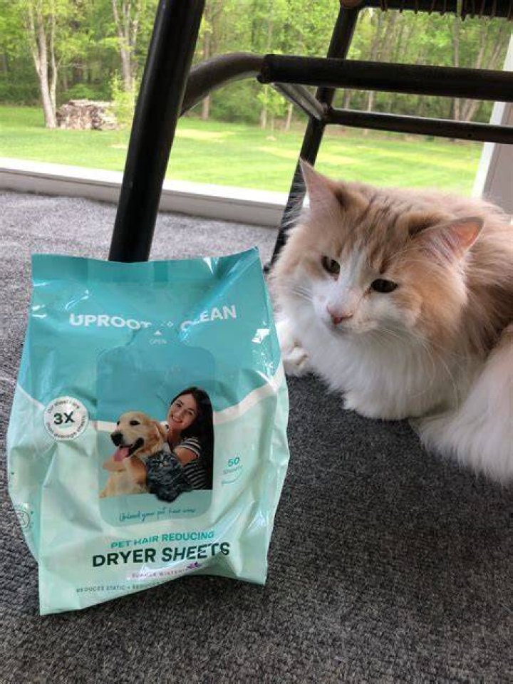 Do dryer sheets help remove dog hair?
