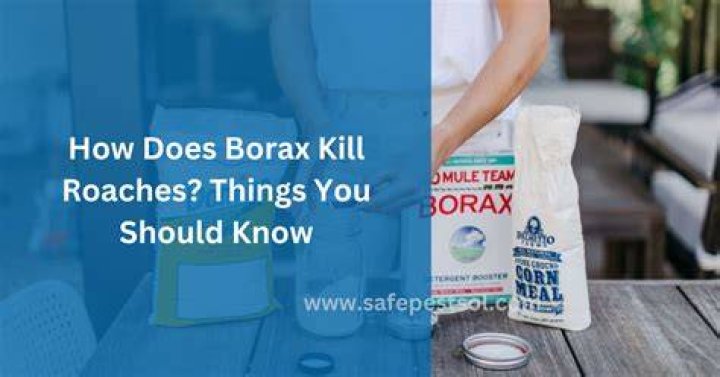 Does borax kill soil?