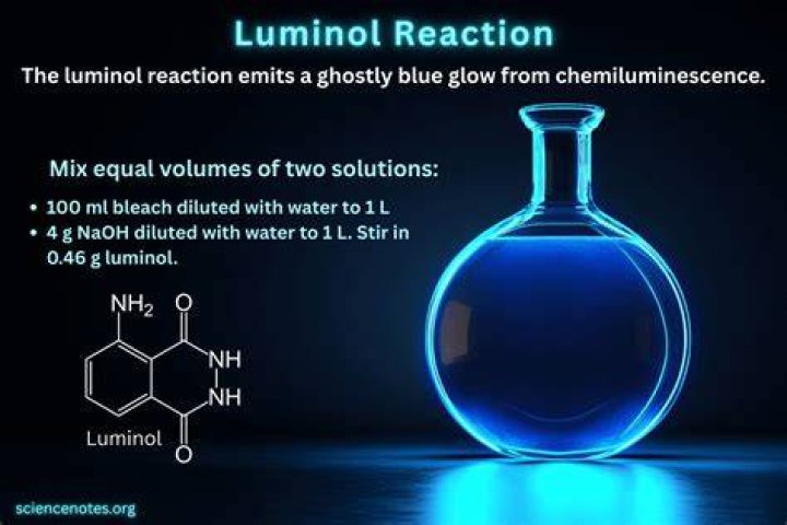 Does luminol only react with blood?
