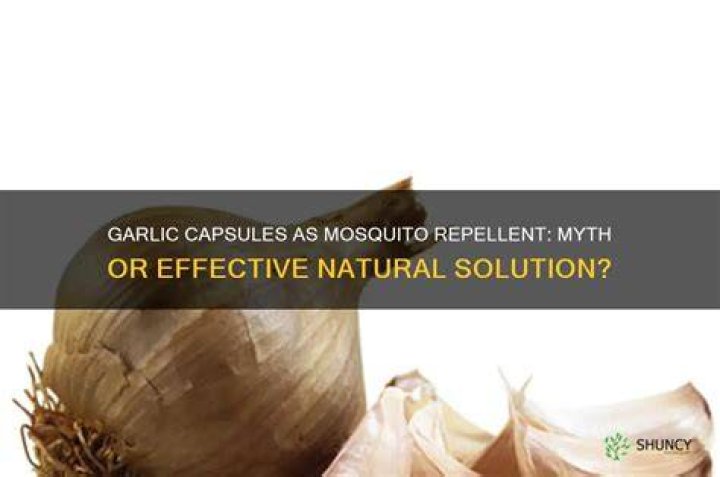Does taking garlic capsules repel mosquitoes?