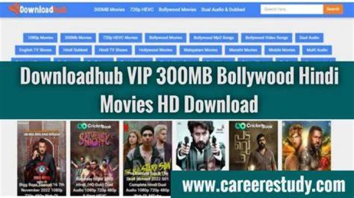 Downloadhub Download 300MB Dual Audio Bollywood, Hollywood Movies Free