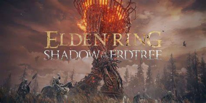 Elden Ring DLC Erdtree All Scadutree Fragments Locations Guide