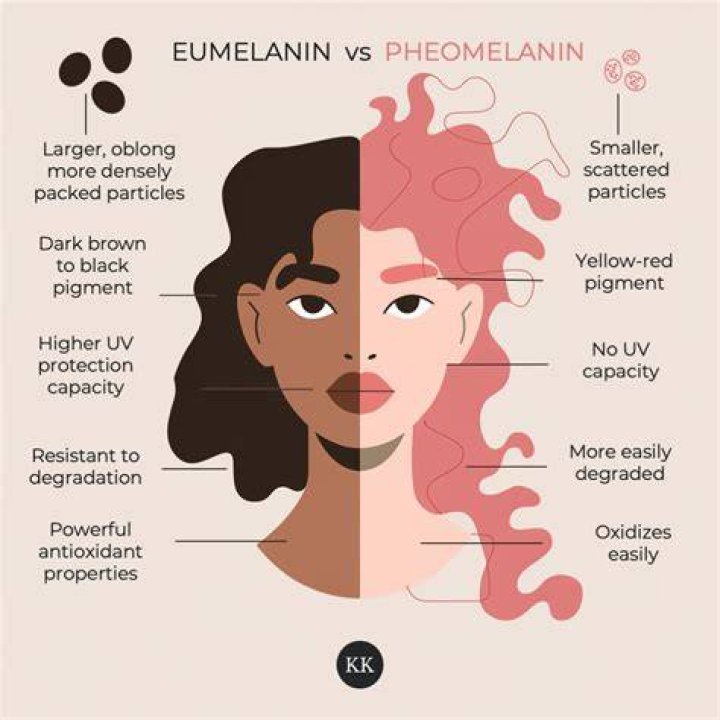 Eumelanin has a brown-black tone, but some mutations of the MC1R gene shut off nearly all eumelanin production, leaving only the red-yellow hues of pheomelanin. Image by Megan Scott