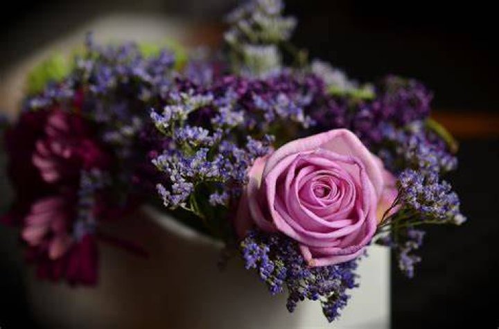 Floristry, Flower, Bouquet, Floral design, Flower Arranging, Cut flowers, Hydrangea, Plant, Cornales, Floristry, Flower, Bouquet, Floral design, Flower Arranging, Cut flowers, Hydrangea, Plant, Cornales,