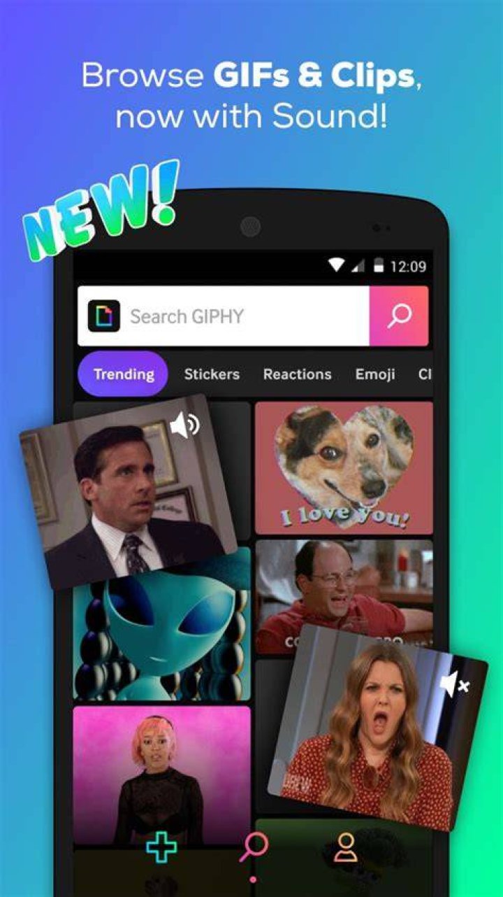 giphy (4)