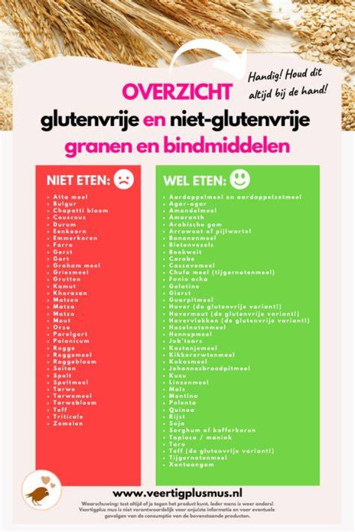 Glutenvrij Welke Granen?