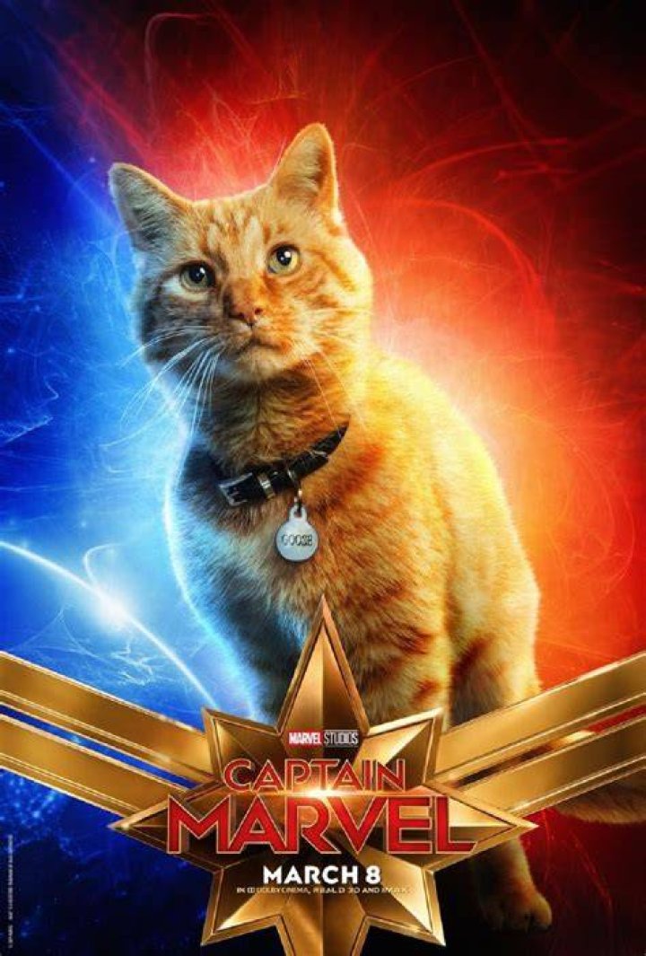 Goose, Captain Marvel's Cat, is Adorable. But What Else is She?