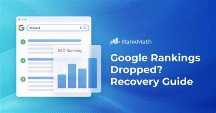 Help! My Google Rankings Dropped After the Latest Google Algorithm