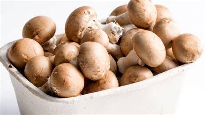 Hoe Bewaar Ik Champignons?