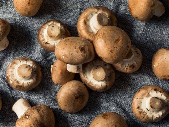 Hoe Bewaar Je Champignons?