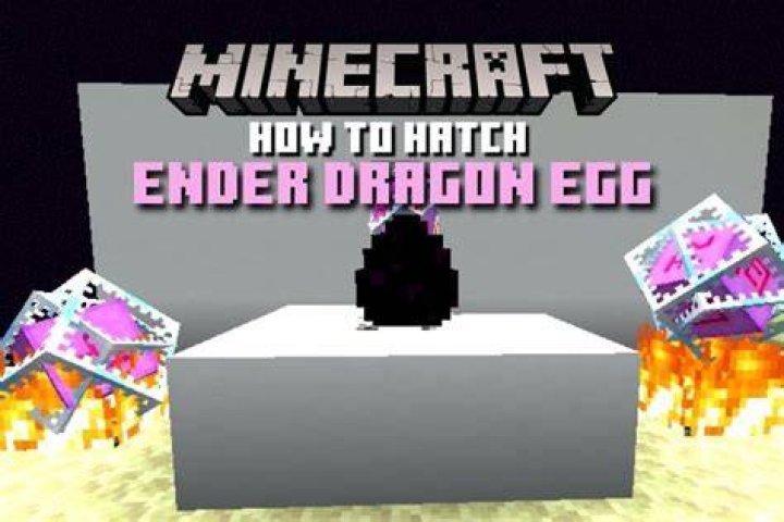Hoe Broed Je Een Ender Dragon Ei Uit? (Question)
