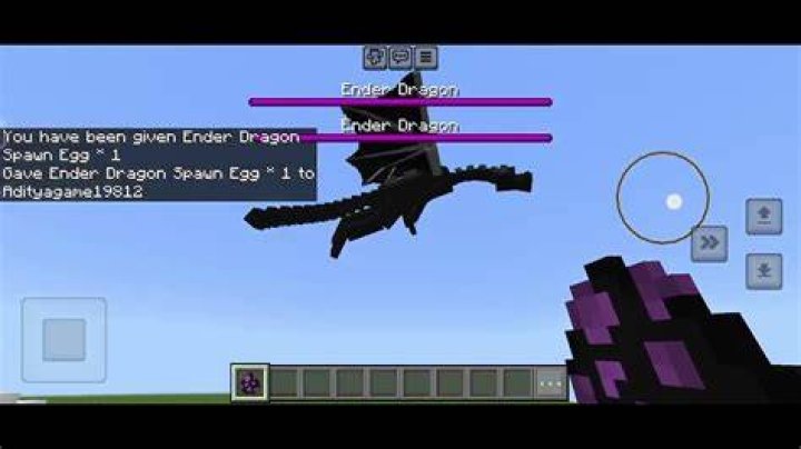 Hoe Krijg Je Een Ender Dragon Ei? (Solution)