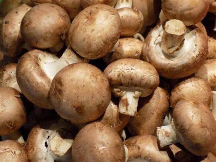 Hoe Lang Kun Je Champignons Bewaren?