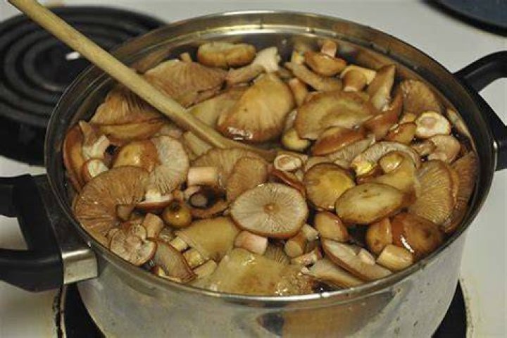 Hoe Lang Moeten Champignons Koken?