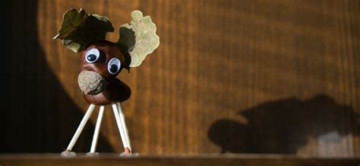 Hoe Maak Je Kastanje Poppetjes?
