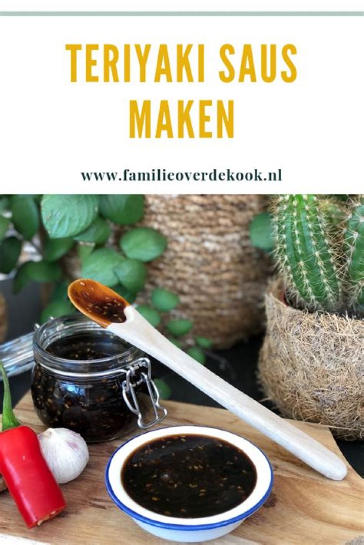 Hoe Maak Je Teriyaki Saus? (TOP 5 Tips)