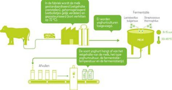 Hoe Wordt Soja Yoghurt Gemaakt?