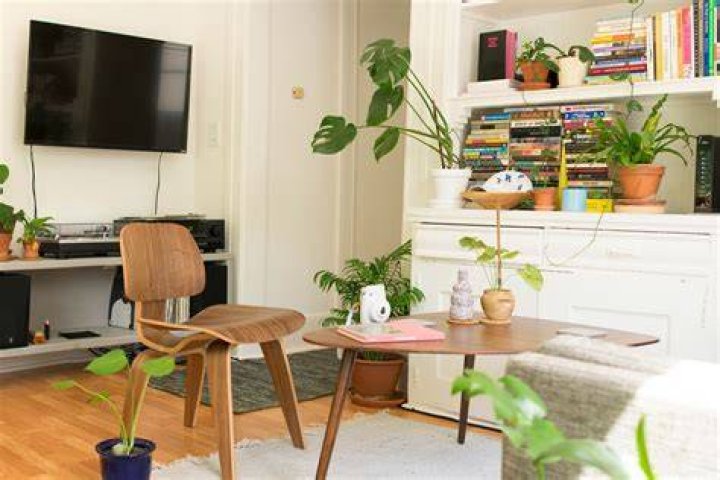 Houseplant, Flowerpot, Plant, Room, Table, Herb, Still life photography, 