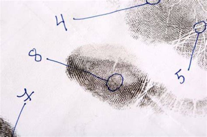 How can I remove my fingerprints?